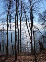 Waldfrieden am Schweriner See